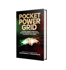 Pocket Power Grid